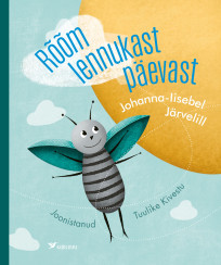 Rõõm lennukast päevast